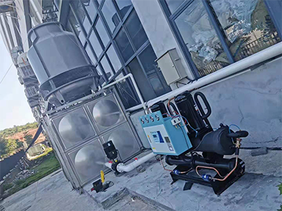 少妇性BBB搡BBB爽爽爽