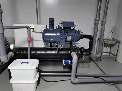 少妇性BBB搡BBB爽爽爽