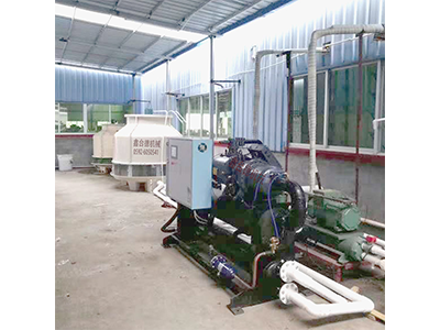 少妇性BBB搡BBB爽爽爽