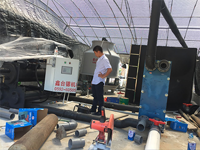 少妇性BBB搡BBB爽爽爽