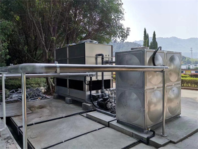 少妇性BBB搡BBB爽爽爽