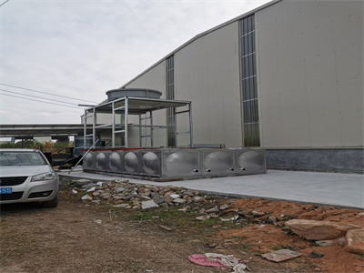 少妇性BBB搡BBB爽爽爽