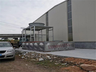 少妇性BBB搡BBB爽爽爽