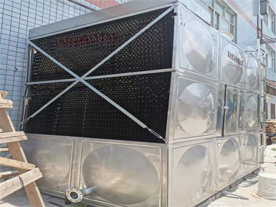 少妇性BBB搡BBB爽爽爽