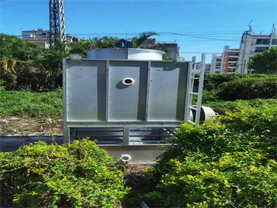 少妇性BBB搡BBB爽爽爽