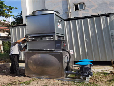 少妇性BBB搡BBB爽爽爽