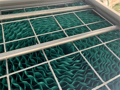 少妇性BBB搡BBB爽爽爽