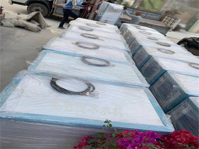 少妇性BBB搡BBB爽爽爽