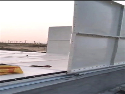 少妇性BBB搡BBB爽爽爽