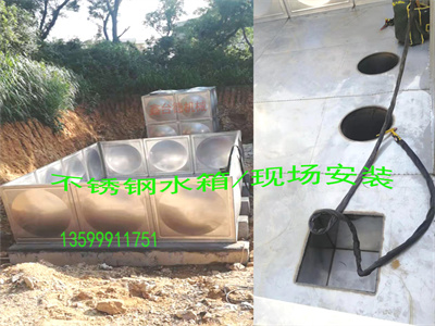 少妇性BBB搡BBB爽爽爽