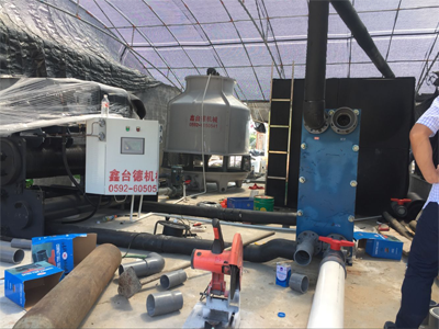 少妇性BBB搡BBB爽爽爽