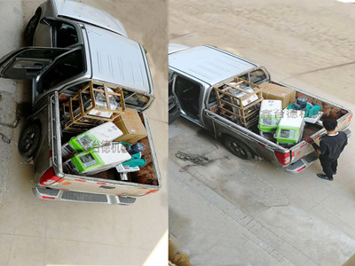 少妇性BBB搡BBB爽爽爽