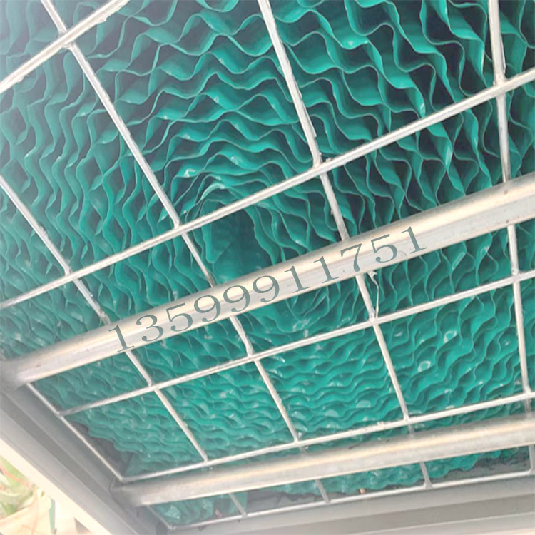 少妇性BBB搡BBB爽爽爽