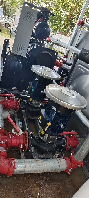 少妇性BBB搡BBB爽爽爽