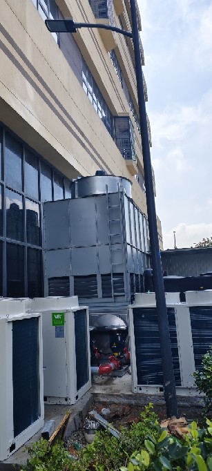 少妇性BBB搡BBB爽爽爽