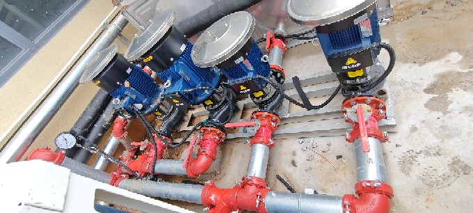 少妇性BBB搡BBB爽爽爽