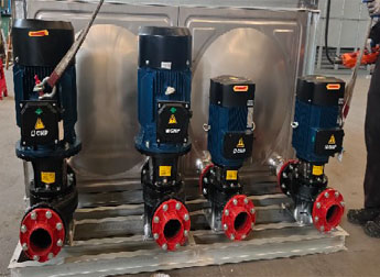 少妇性BBB搡BBB爽爽爽