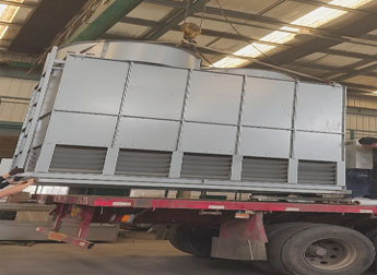 少妇性BBB搡BBB爽爽爽