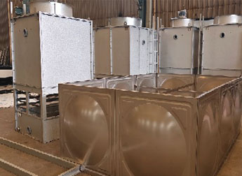 少妇性BBB搡BBB爽爽爽