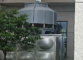 少妇性BBB搡BBB爽爽爽