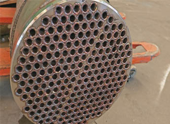 少妇性BBB搡BBB爽爽爽