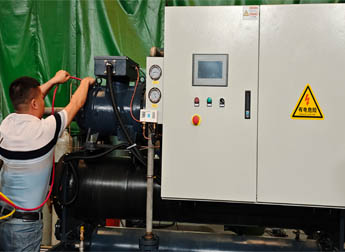 少妇性BBB搡BBB爽爽爽